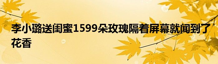 李小璐送闺蜜1599朵玫瑰隔着屏幕就闻到了花香